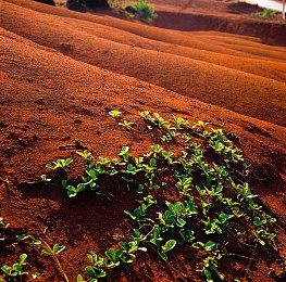 《SCUM》促销火热进行中